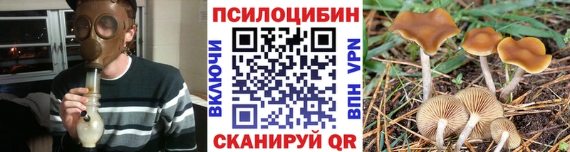 нарко площадка клад  наркошоп  Рыбное  Псилоцибиновые грибы Cubensis 