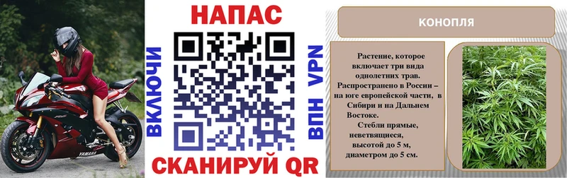 Каннабис марихуана  Рыбное 